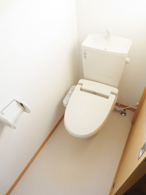 Toilet. Washing with toilet