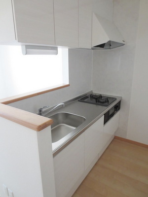 Kitchen. System face-to-face kitchen