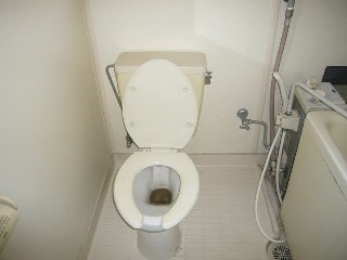 Toilet. Toilet