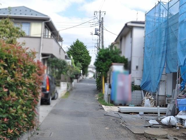 Local photos, including front road. Field landscape