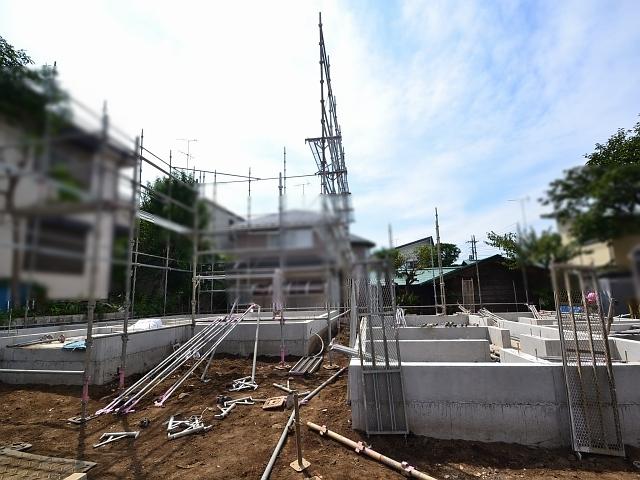 Local appearance photo. Field landscape Time basis