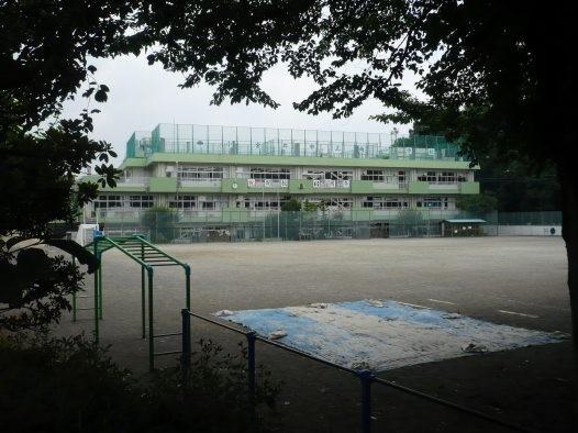 Primary school. To South Elementary School 460m