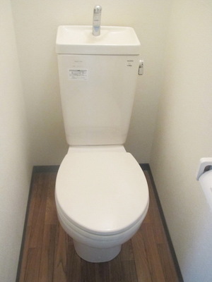 Toilet. Toilet