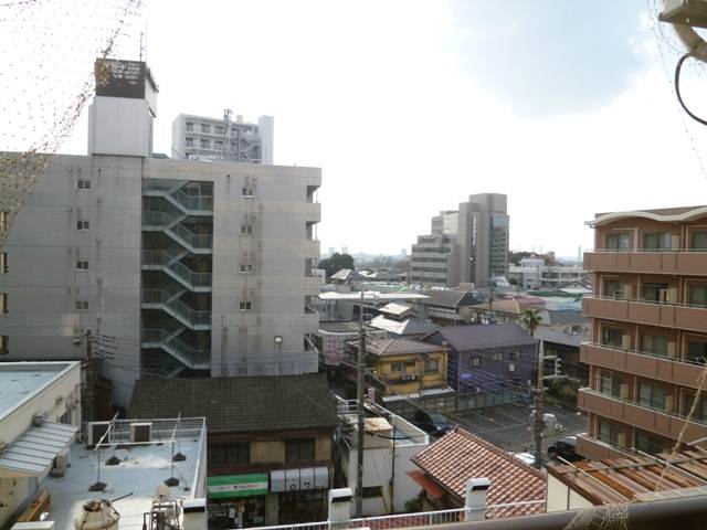 View. View from the balcony