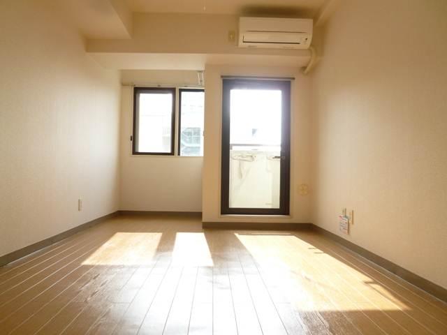 Living and room. Sunny living