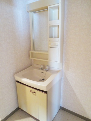 Washroom. Independent wash basin