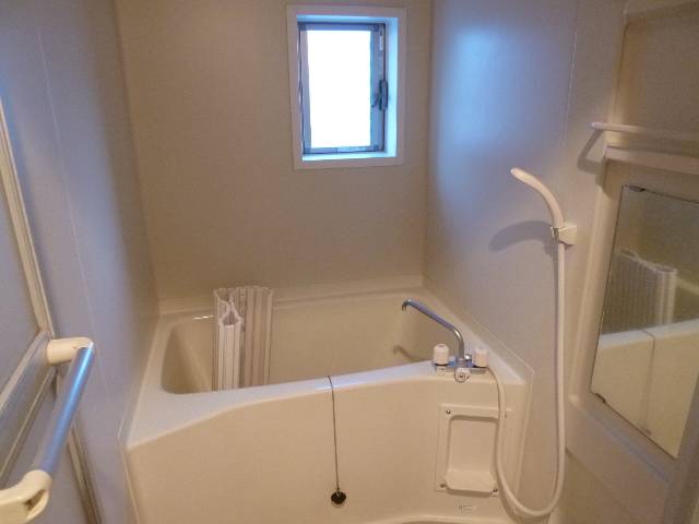 Bath. The window with the bath