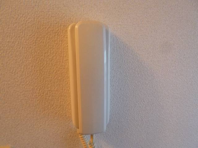 Other. Voice intercom