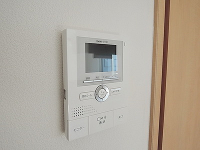 Security. Monitor with intercom