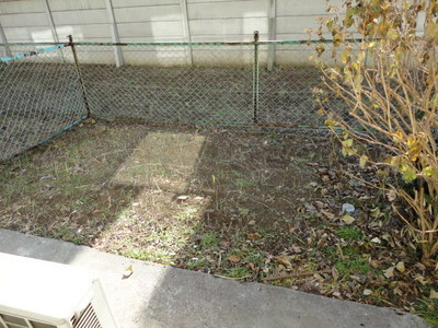 Garden. Private garden