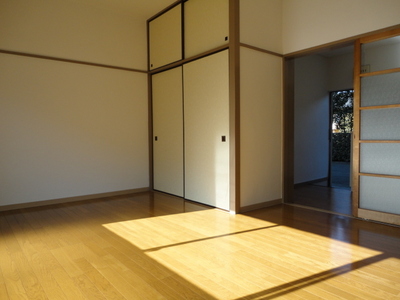 Living and room. South-facing bright room