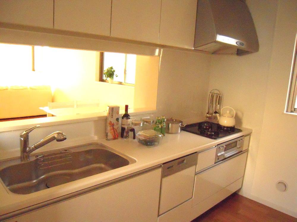 Kitchen. Indoor (11 May 2013) Shooting