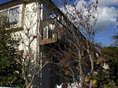 Building appearance. Sunny