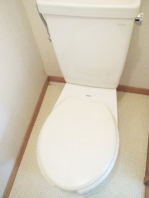 Toilet. Toilet