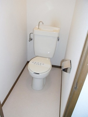 Toilet. Toilet