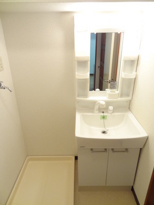 Washroom. Glad shampoo dresser in a busy morning