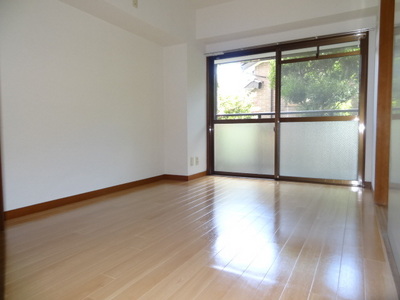 Living and room. Shine bright colors of flooring