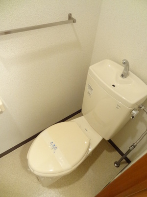 Toilet. Eradication construction already toilet