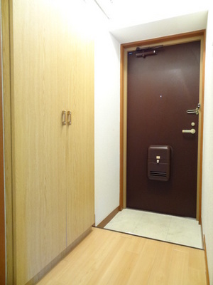 Entrance. Shoe box with a storage capacity