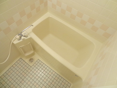 Bath. Spacious bathroom of the hot water supply equation