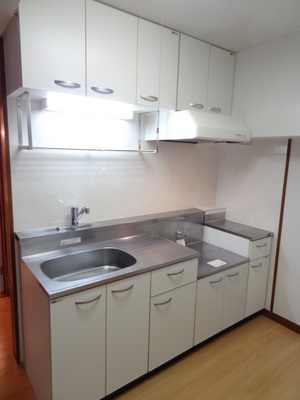 Kitchen. Widely nice usability kitchen