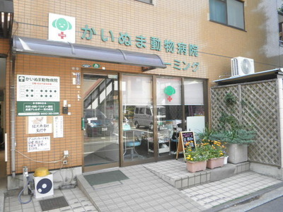 Other. 1m to Kainuma animal hospital (Other)