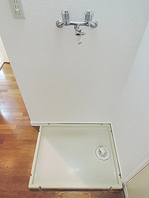 Washroom. Indoor Laundry Storage