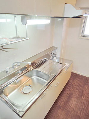 Kitchen. Two-burner gas stove installation Allowed Kitchen