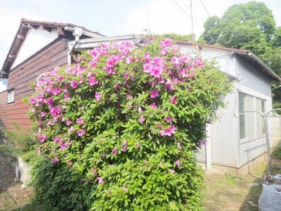 Other. Surrounding environment