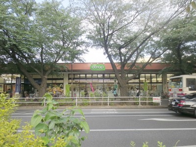 Supermarket. 330m Co-op until the future (super)