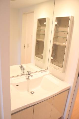 Washroom. Stylish independent wash basin