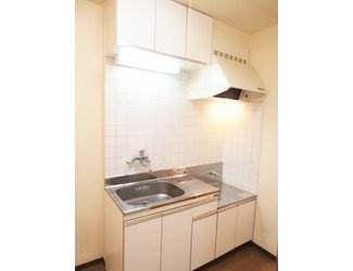 Kitchen. Gas stove Allowed