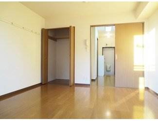 Living and room. Clean room