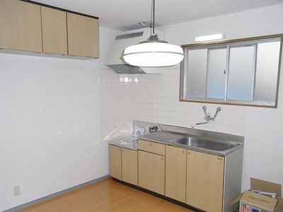 Kitchen. Gas stove installation Allowed (town gas)