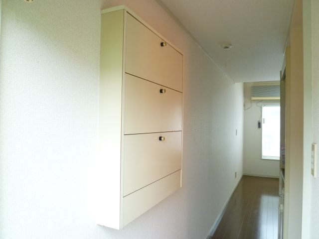 Entrance. It is a shoebox.