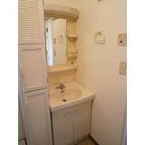 Washroom. There washbasin independent