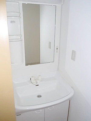 Washroom. Independent wash basin