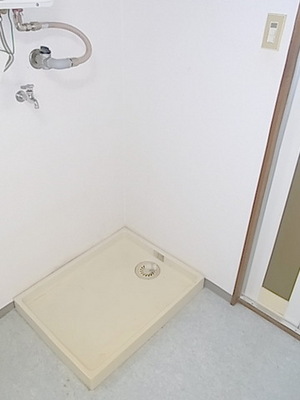 Washroom. Indoor Laundry Storage