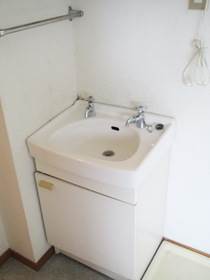 Washroom. Large independent wash basin