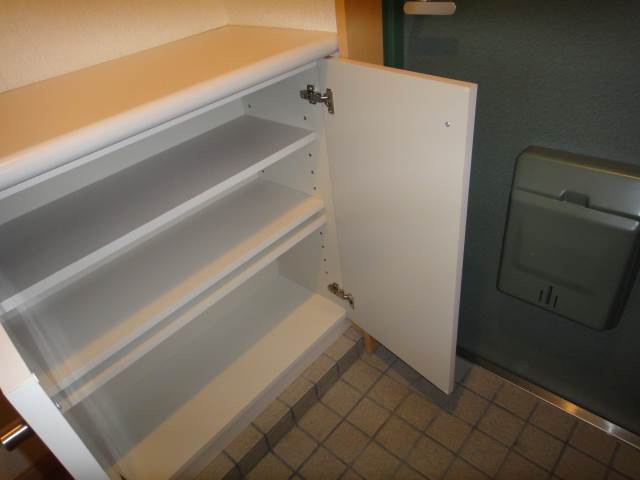 Entrance. There shoebox