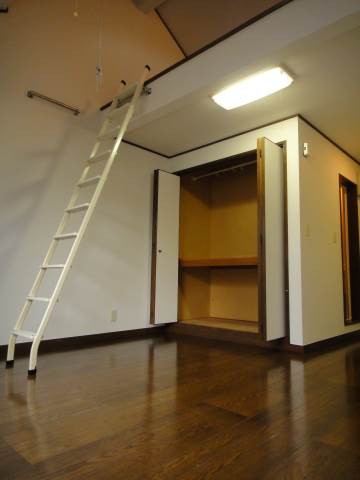 Living and room. Ceiling increase with a loft