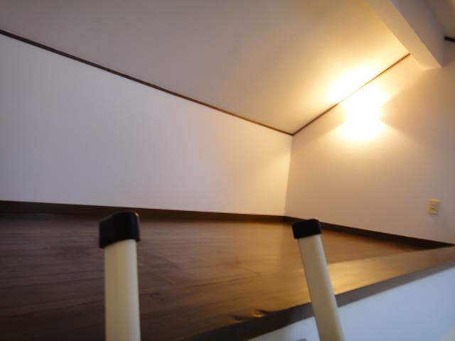 Other room space. Yes lighting loft