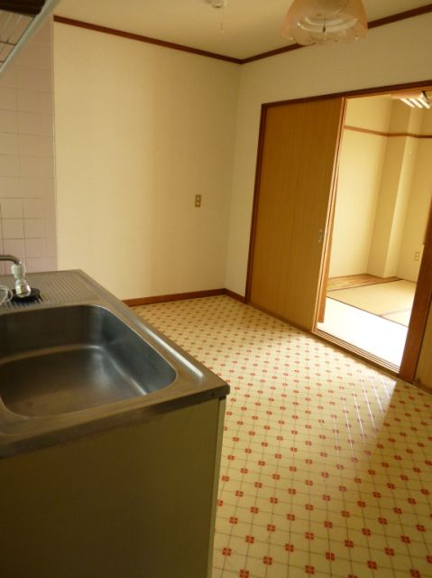 Other. Shooting from the front door