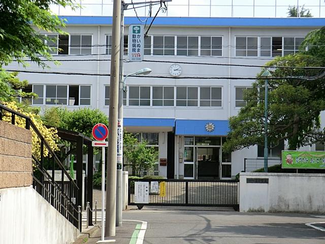 Junior high school. Koganei Tatsuhigashi until junior high school 650m