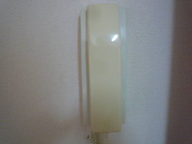 Security. Voice intercom