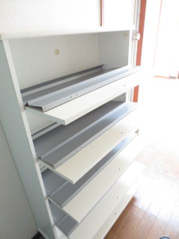 Entrance. There shoebox