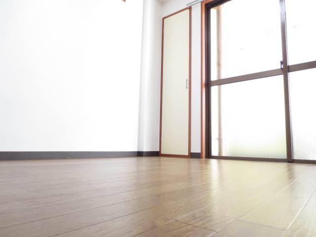 Living and room. Clean room