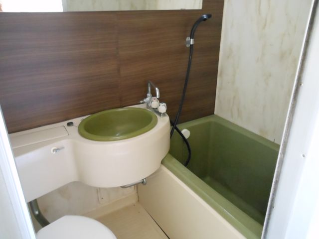 Bath. Stylish unit bus accent panel and a wide mirror