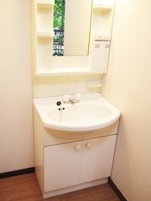 Washroom. Independent wash basin