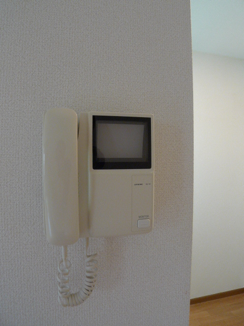 Security. TV monitor Hong